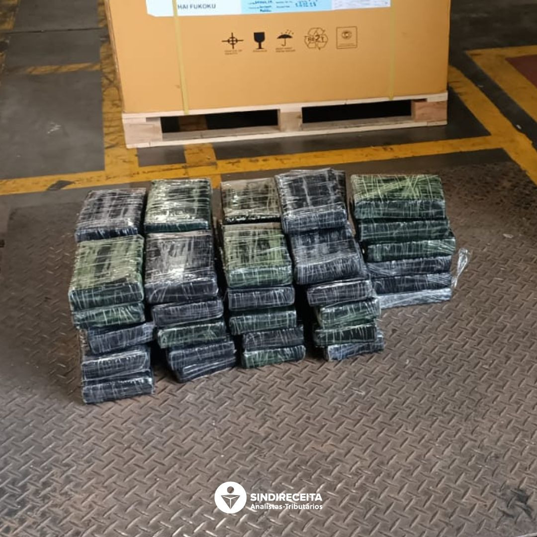 Aduana: Analistas-Tributários da Receita Federal atuam na apreensão de 51,5 kg de cocaína no Porto de Paranaguá